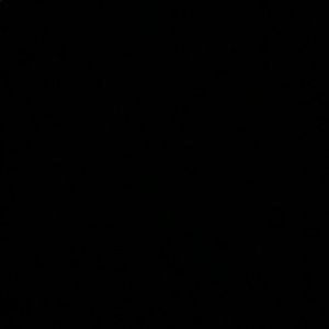 Meet your Posher, Travis